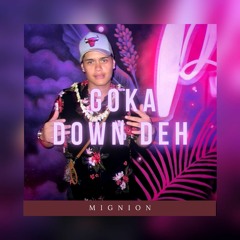 GOKA DOWN DEH-[MIGNION] 4HAUTEARII-F3A_2022