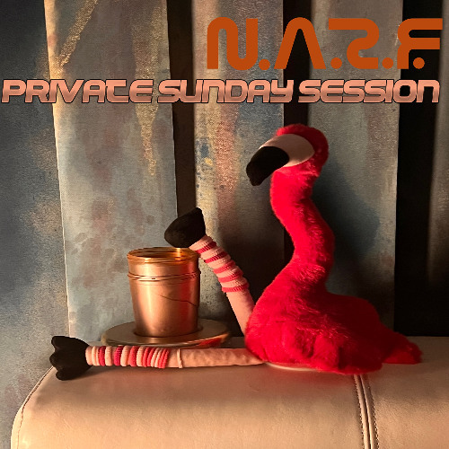 N.A.R.F. - Private Sunday Session w_ Friends