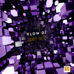 Flow Di - Open to it (Long Play)