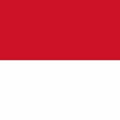 DUTCH INDONESIA RAYA EXCLUSIVE #HARD #145BPM #DDJRECORD