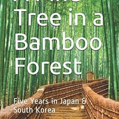 Access [EPUB KINDLE PDF EBOOK] A Pine Tree in a Bamboo Forest: Five Years in Japan &
