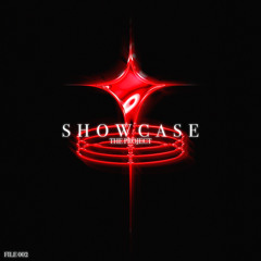 THE PROJECT ( FILE 002 )
