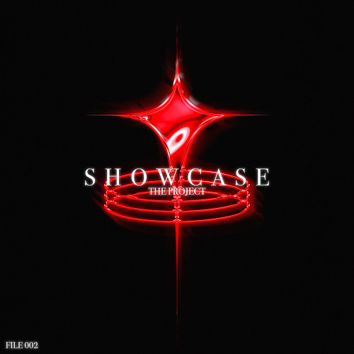THE PROJECT ( FILE 002 )