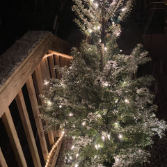 Aspenglow- John Denver cover