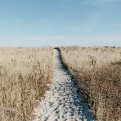 A Short Journey