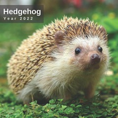 READ✔️DOWNLOAD❤️ Hedgehogs Calendar 2022 - 12 Months of High-Resolution Hedgehog Photos Incl