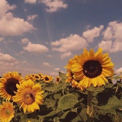 سورة السجدة ( كاملة ) | عبدالرحمن مسعد