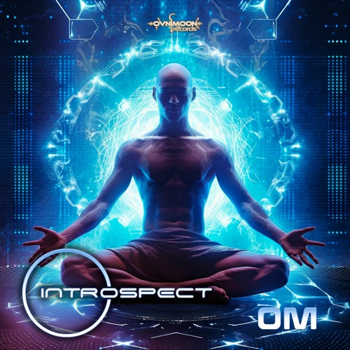 01 - Introspect - Majee