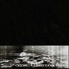 Persimmon Drive ft. Toulip Wonder