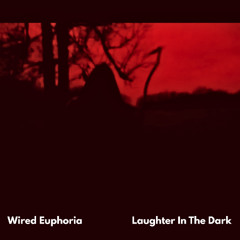 LANDR-Laughter in the dark 13.1 gain abc-Balanced-High
