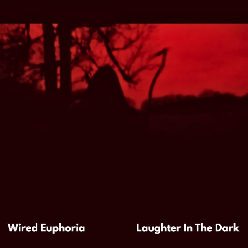 LANDR-Laughter in the dark 13.1 gain abc-Balanced-High