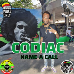 CODIAC - Name A Call / TruMon Dubplate