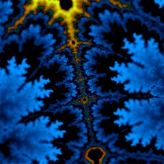 The True Essence of Life