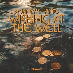 DT James & Kimbo - Wishing At The Well