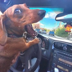 let it go (kidghost,, genesis555)