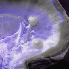 SOPHIE AMBIENT / CHILL MIX