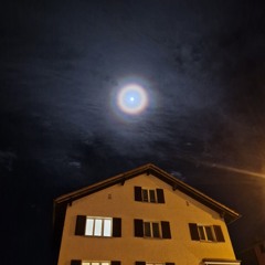 Sunny Nights