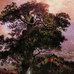 Lil Poppa - Oxy Fever) (skip 1 min)