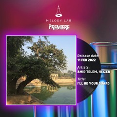ML Premiere: Amir Telem - I'll Be Your Guard (Heizen Remix)