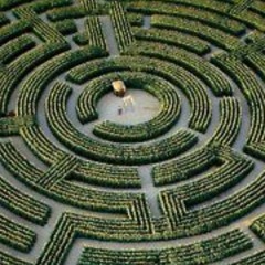 maze