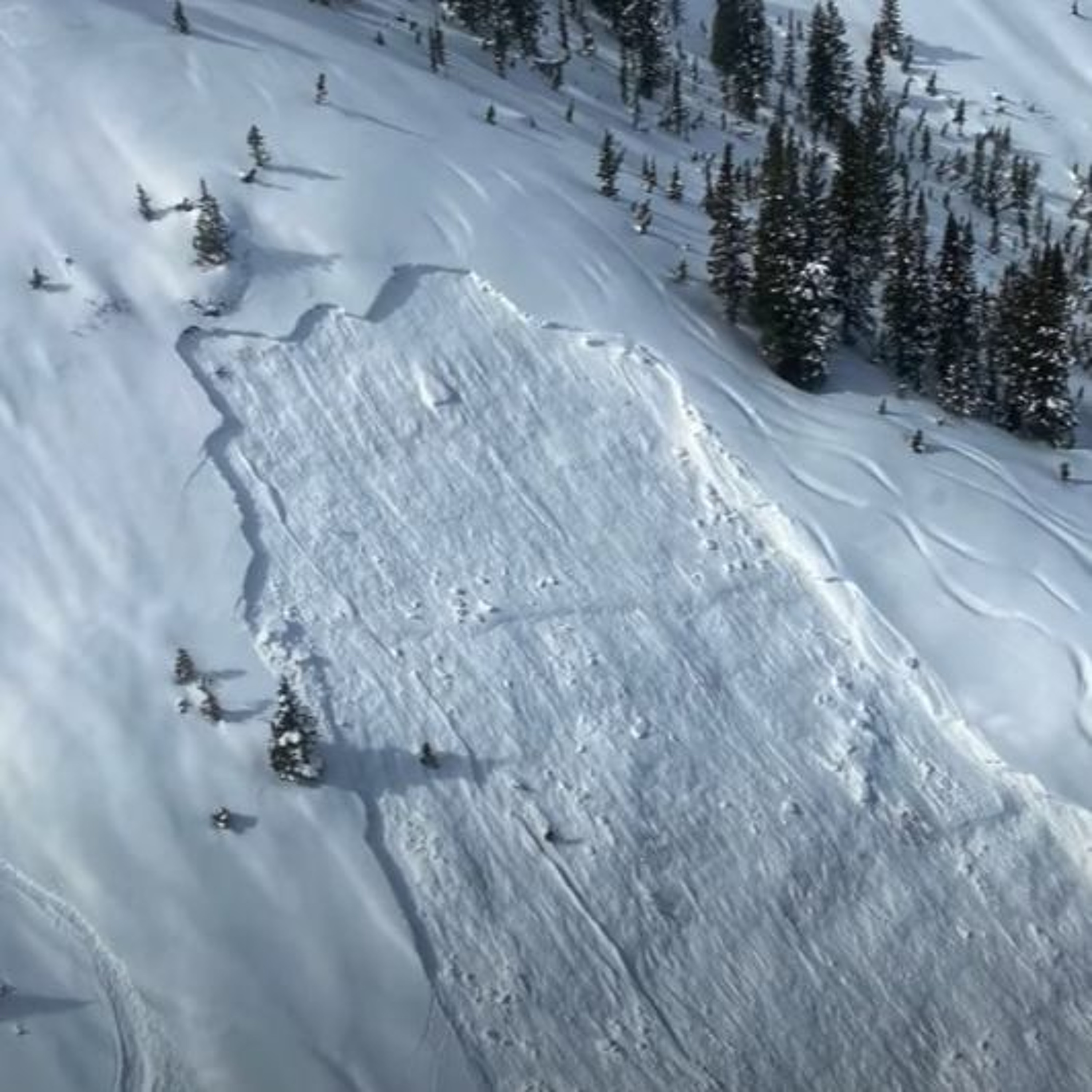 News Brief March 21 | Skier Dies in Game Creek Avalanche, Jackson St. Partnership Approved episode artwork