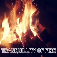 TRANQUILLITY OF FIRE (POST ROCK X INDIE ROCK TYPE BEAT INSTRUMENTAL)