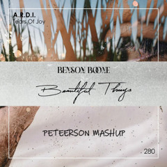 A.R.D.I. Ft. Benson Boone - Beautiful Tears Of Joy (Peteerson Mashup) FREE DL