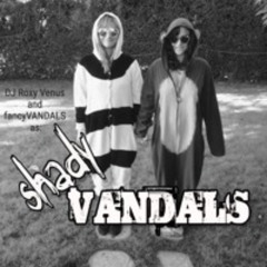 ShadyVANDALS @t heJunkyard, Lightning in a bottle 2024