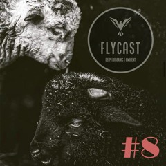 Flycast #8