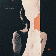 Cem Gemalmaz, Omeria - Sound Waves (flieder remix)
