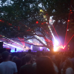 2025 Festival Warming up