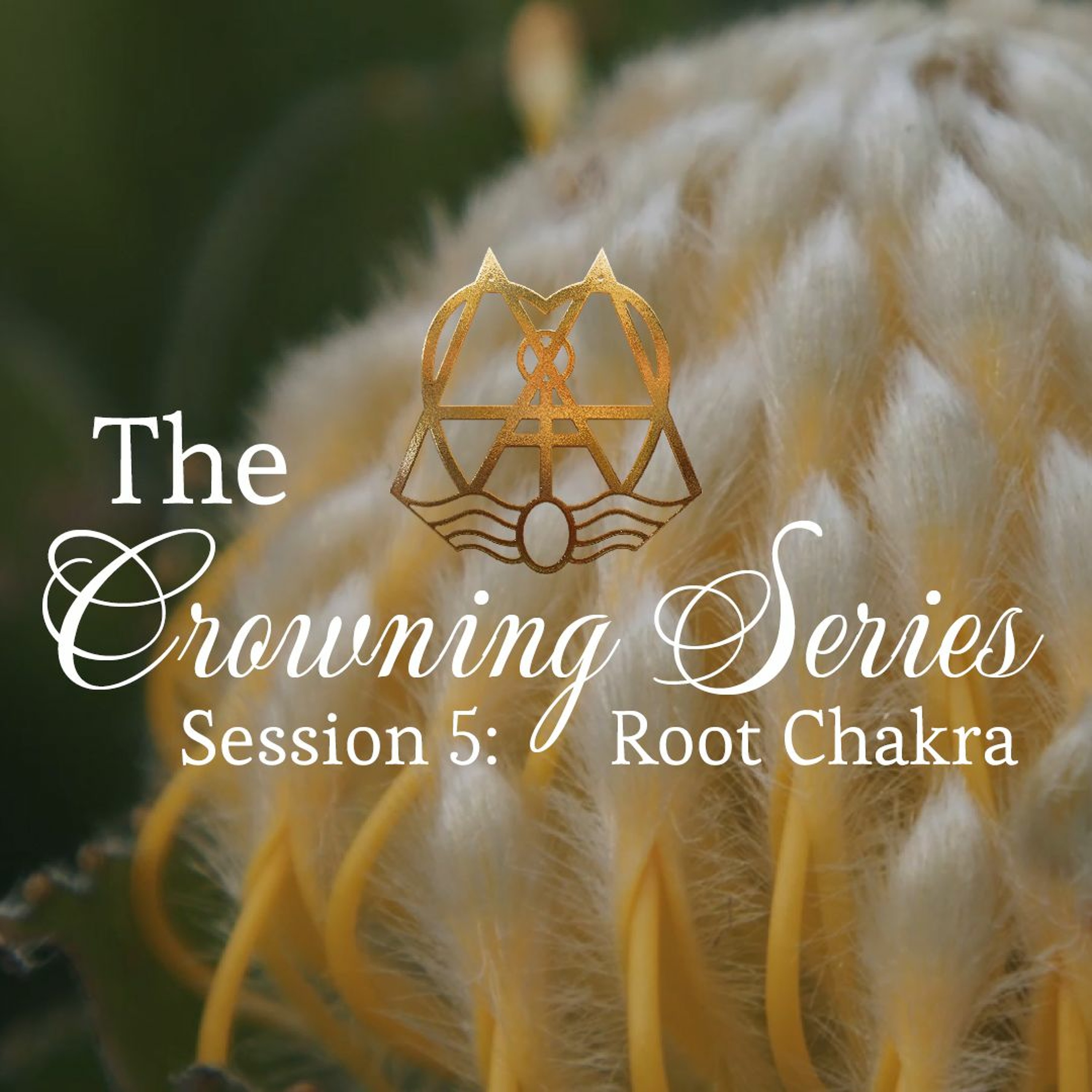 The Crowning Series: Attunements - Session 5 - Root Chakra