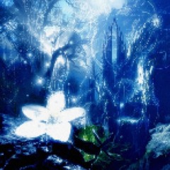 haki ft arctic (prod me & kota) #garnet