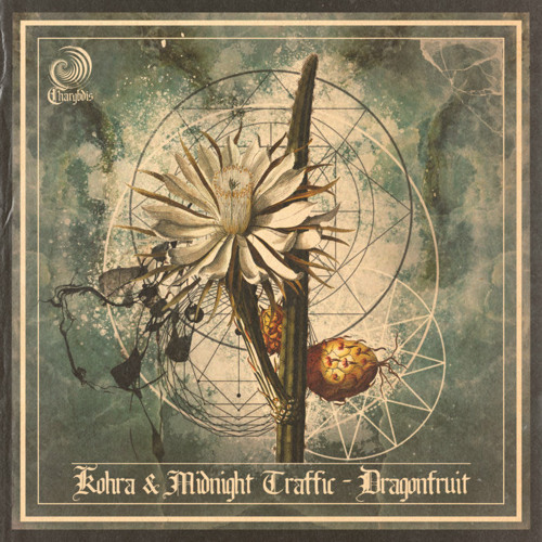 𝐏𝐑𝐄𝐌𝐈𝐄𝐑𝐄 : Kohra & Midnight Traffic - Temple Tree [Charybdis Records]