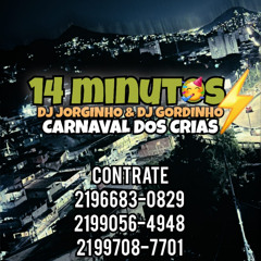 14 MINUTOS - CARNAVAL DOS CRIAS 2025 [ DJS JORGINHO & GORDINHO ]