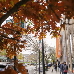 Best Things To Do In Lincoln Square Chicago Tours Reviews