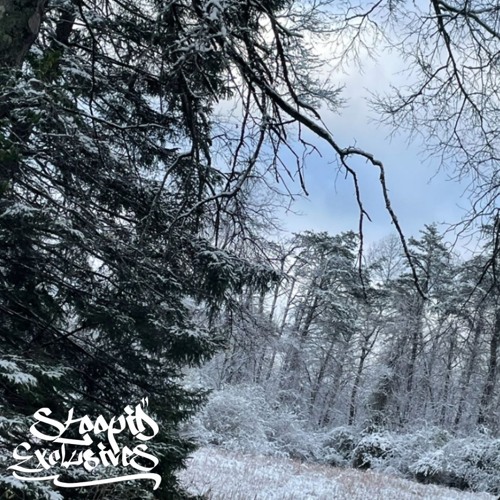 I'm Sorry - Scott Free (p. xozeke & TylurOcean) Hosted by STOOPID EXCLUSIVES