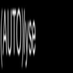Autolyse