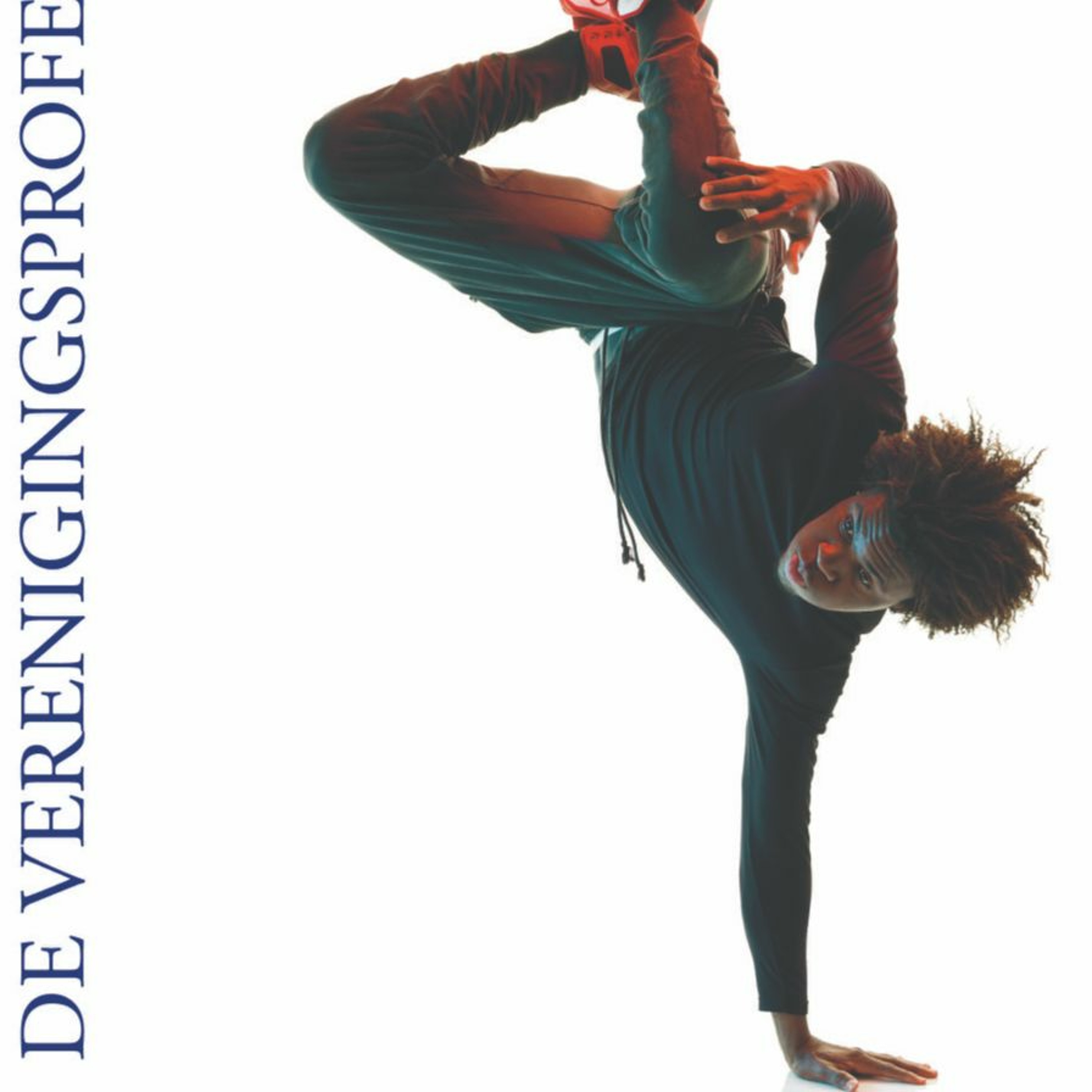 VP de Verenigingsprofessional