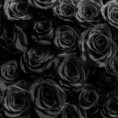 Black Roses