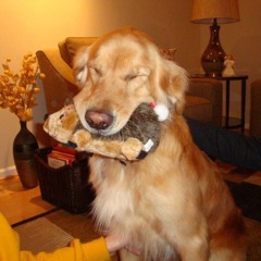 me sinto só (rewind, me)