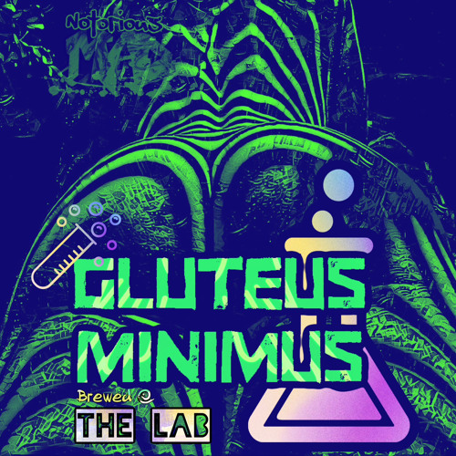 Gluteus Minimus - The LAB Edition