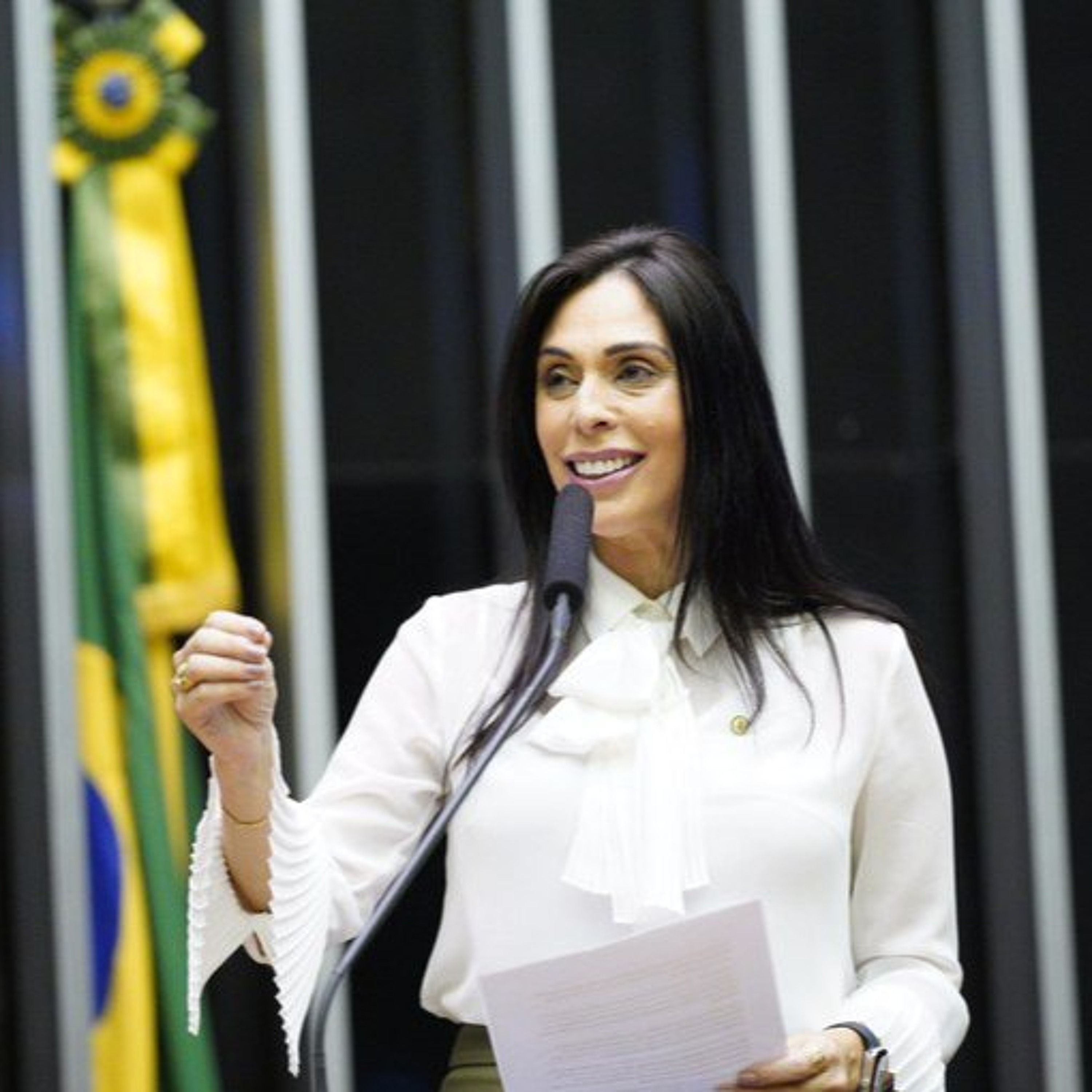 Câmara aprova urgência para projeto que altera limites da APA da Baleia Franca episode artwork