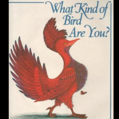 What Kind of Bird R U? (Dumbo - Leg 2)