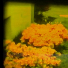 the house of the mother of the