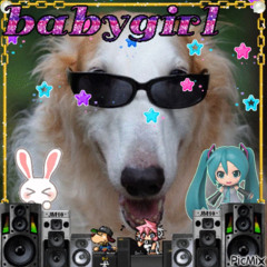 ૮⍝• ᴥ •⍝ა PAWS ON THE DECKS @ STATIC 049 ૮⍝• ᴥ •⍝ა