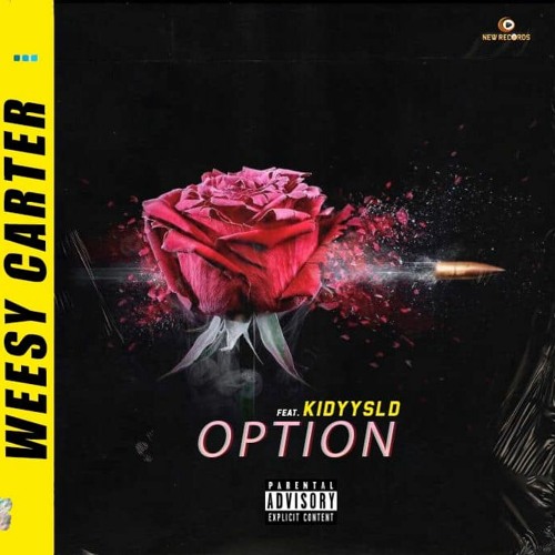 Option ft (KIDYYSLD