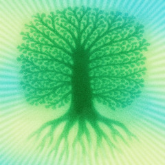 United Freedom Collective - Love (For Trees)