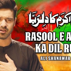 Rasool E Akram Ka Dilruba Ali Shanawar 2020