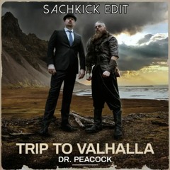 Dr. Peacock - Trip To Valhalla (Sachkick Edit)